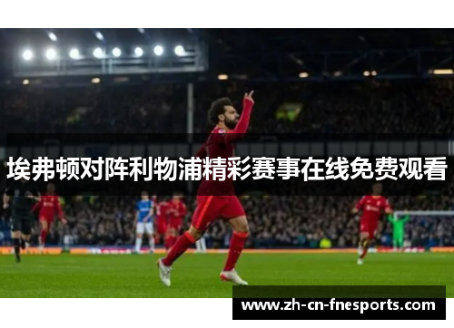 埃弗顿对阵利物浦精彩赛事在线免费观看
